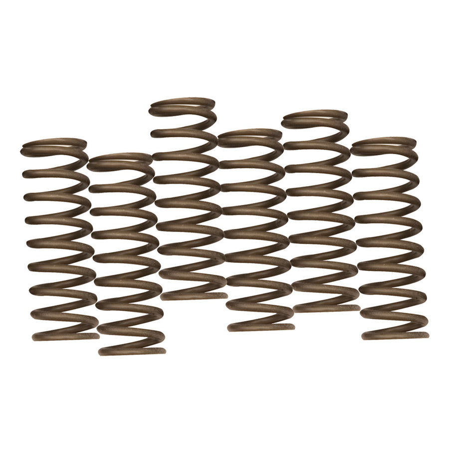 Hinson Hi-Temp Clutch Spring Kit#mpn_CS641-6-1901